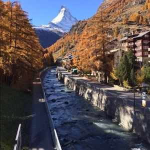 Meet your Posher, Michaela